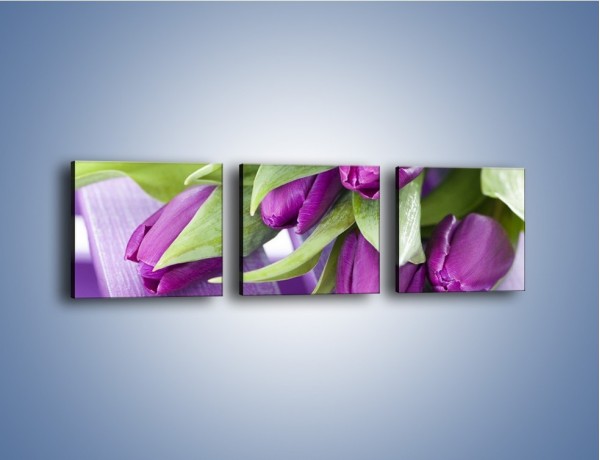 Obraz na płótnie – Tulipany na ogrodowym stole – trzyczęściowy K439W1