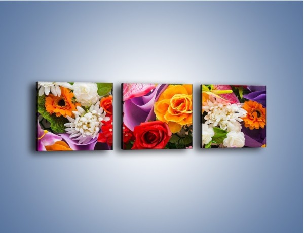 Obraz na płótnie – Kwiaty w kolorze tęczy – trzyczęściowy K462W1