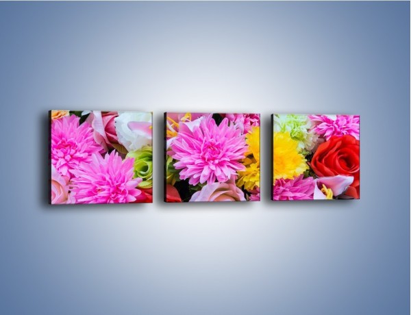 Obraz na płótnie – Wszystkie kwiaty lata – trzyczęściowy K464W1