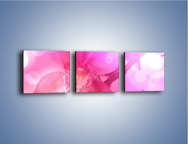 Obraz na płótnie – Budzący dzień w różowym kwiecie – trzyczęściowy K487W1