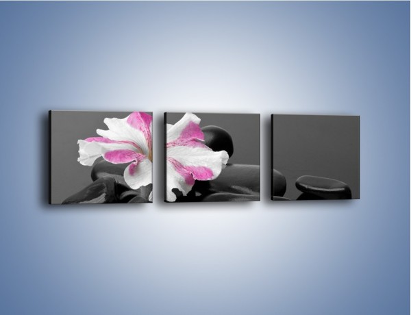 Obraz na płótnie – Czarna tafla z kwiatem – trzyczęściowy K520W1