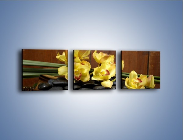 Obraz na płótnie – Kwiaty na drewnianym naczyniu – trzyczęściowy K575W1