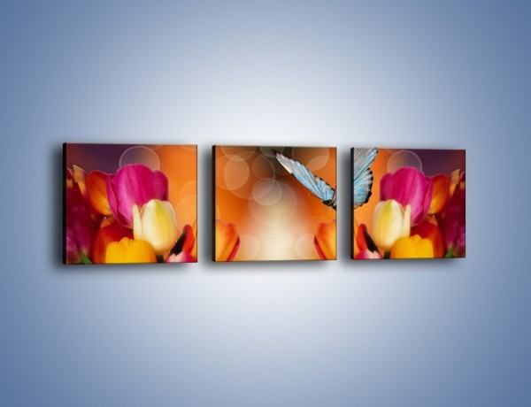 Obraz na płótnie – Motyl wśród tulipanów – trzyczęściowy K635W1