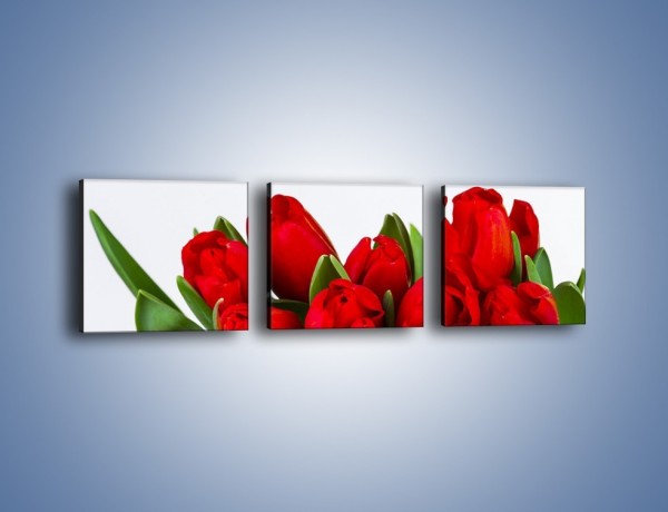 Obraz na płótnie – Tulipany na dzień kobiet – trzyczęściowy K740W1