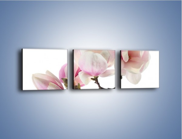 Obraz na płótnie – Obcięte gałązki białych różowych kwiatów – trzyczęściowy K783W1