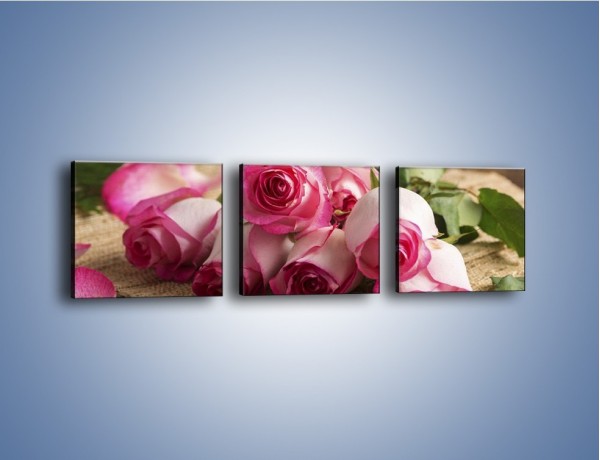 Obraz na płótnie – Zapomniane chwile wśród róż – trzyczęściowy K838W1