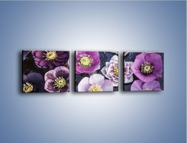 Obraz na płótnie – Wszystkie odcienie fioletu w kwiatach – trzyczęściowy K876W1