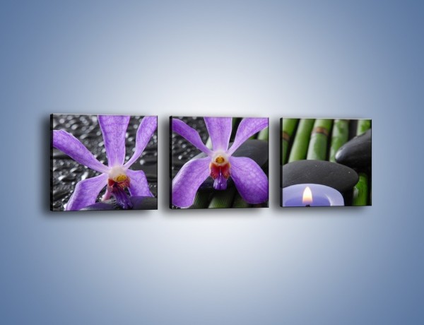 Obraz na płótnie – Mokre fiolety i kwiaty – trzyczęściowy K880W1