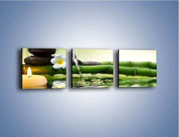 Obraz na płótnie – Bambus i źródło wody – trzyczęściowy K930W1