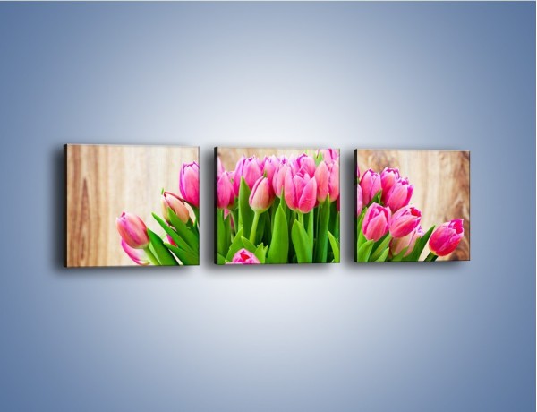 Obraz na płótnie – Różowe tulipany na drewnianym stole – trzyczęściowy K937W1