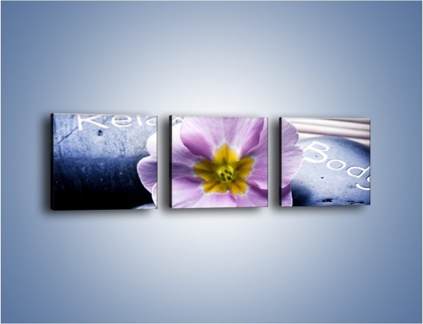 Obraz na płótnie – Kwiat z przekazem – trzyczęściowy K982W1