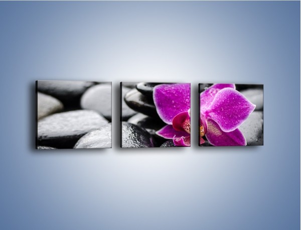 Obraz na płótnie – Malutki kwiatek i morze kamieni – trzyczęściowy K983W1