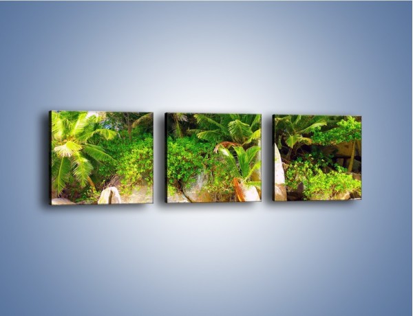 Obraz na płótnie – Ściana tropikalnych drzew – trzyczęściowy KN086W1