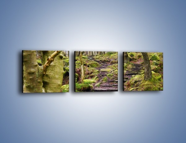 Obraz na płótnie – Schodkami przez las – trzyczęściowy KN1054W1
