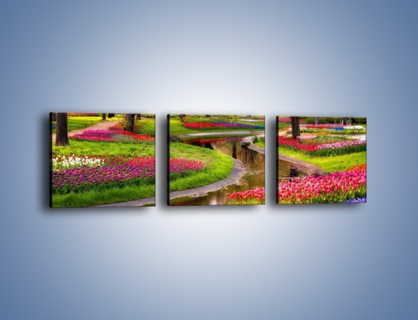 Obraz na płótnie – Aleje kolorowych tulipanów – trzyczęściowy KN1079W1