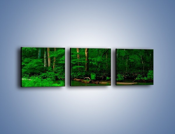 Obraz na płótnie – Mocno zarośnięty las – trzyczęściowy KN1089AW1