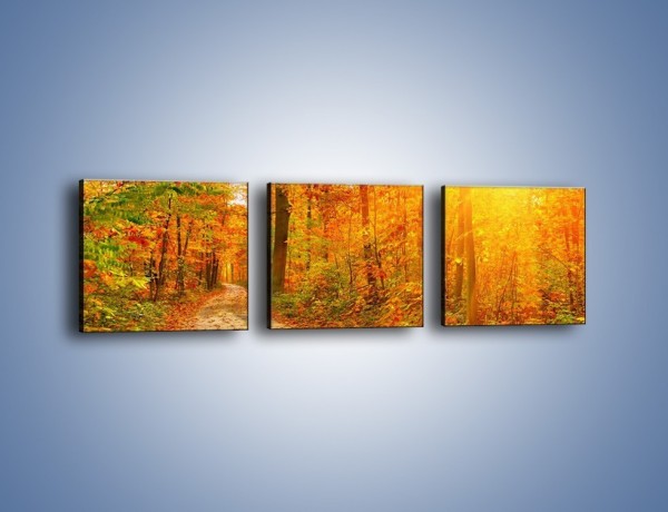 Obraz na płótnie – Leśną drużką jesienią – trzyczęściowy KN1163AW1