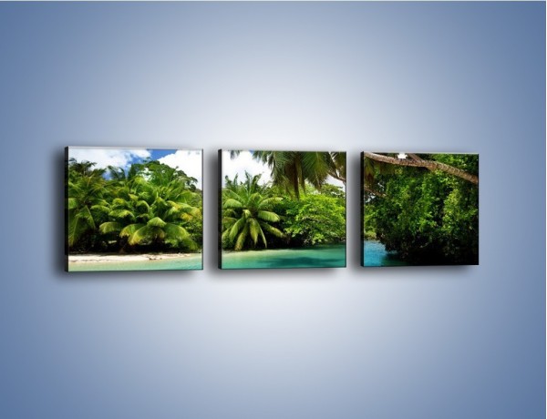 Obraz na płótnie – Rozłożone palmy i woda – trzyczęściowy KN1168AW1