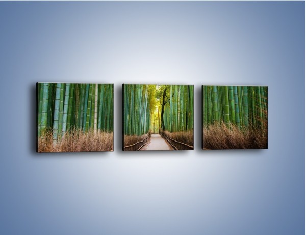 Obraz na płótnie – Bambusowy las – trzyczęściowy KN1187AW1