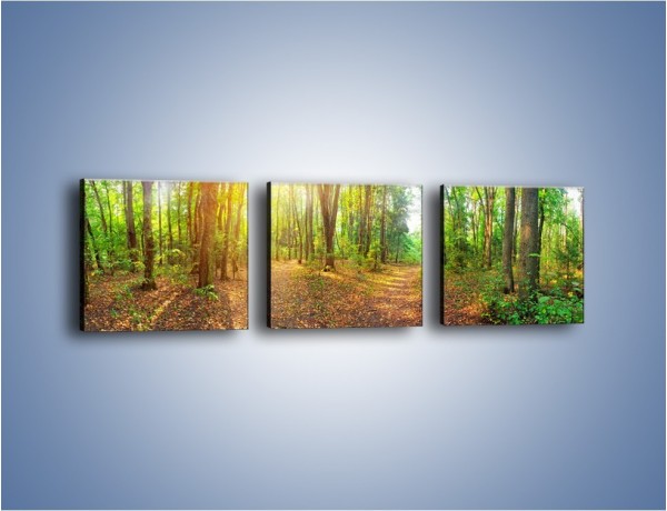 Obraz na płótnie – Przejrzysty piękny las – trzyczęściowy KN1344AW1