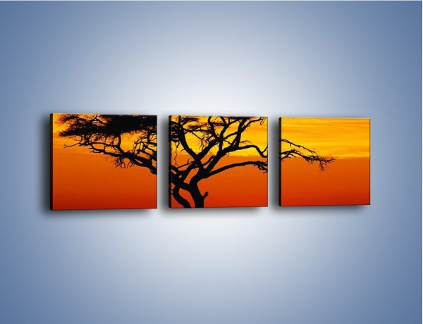 Obraz na płótnie – Zachód słońca i drzewo – trzyczęściowy KN307W1
