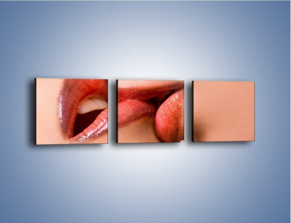 Obraz na płótnie – Krwisty pocałunek – trzyczęściowy L111W1