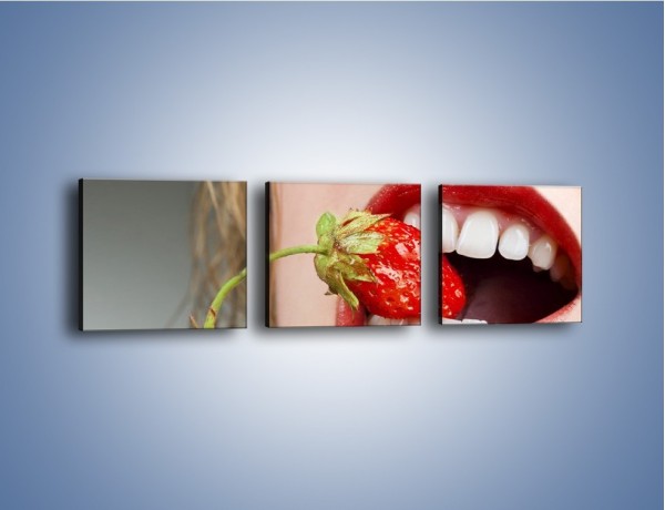 Obraz na płótnie – Mocny chwyt zębami – trzyczęściowy L122W1