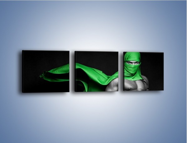 Obraz na płótnie – Zielony ninja – trzyczęściowy L245W1