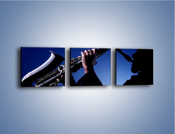 Obraz na płótnie – Koncert na saksofonie – trzyczęściowy O110W1
