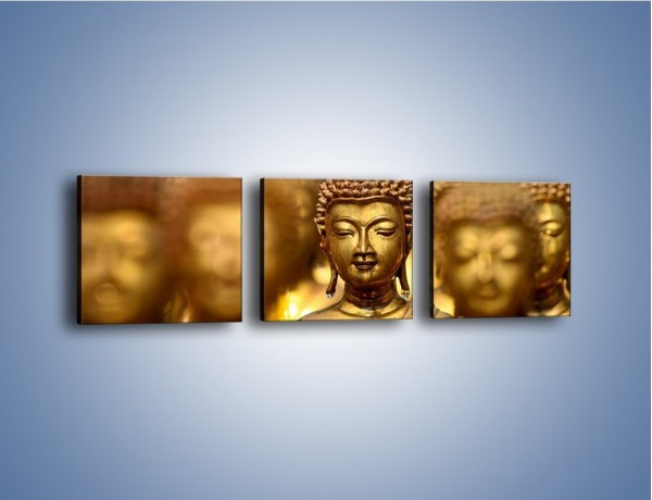 Obraz na płótnie – Złote buddy w słońcu – trzyczęściowy O111W1