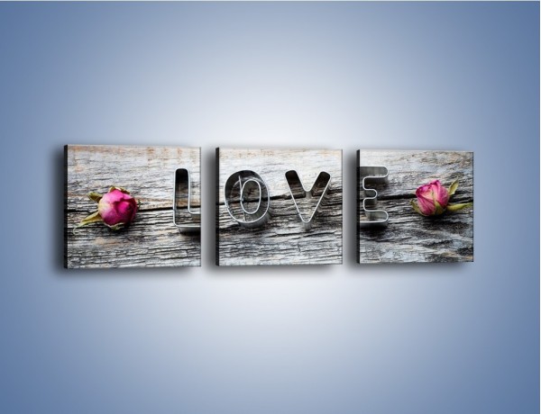 Obraz na płótnie – Miłość pachnąca różami – trzyczęściowy O146W1