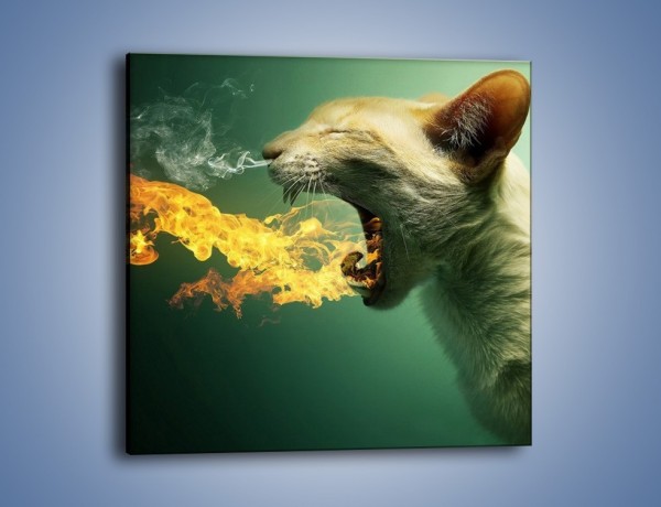 Obraz na płótnie – Kot z gorącym oddechem – jednoczęściowy kwadratowy GR180
