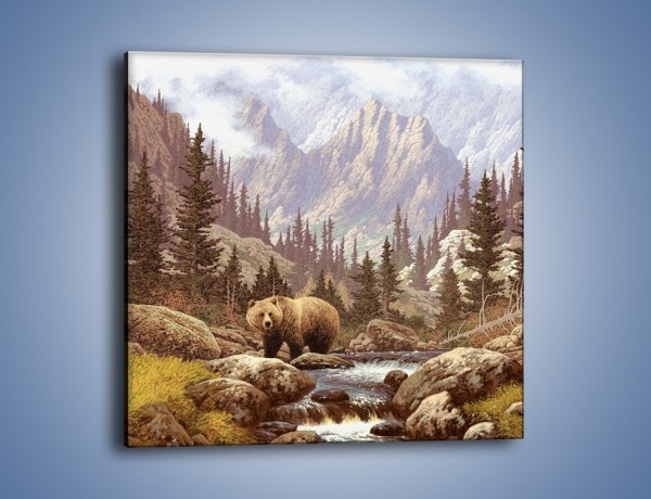 Obraz na płótnie – Uwaga na niedźwiedzia – jednoczęściowy kwadratowy GR183