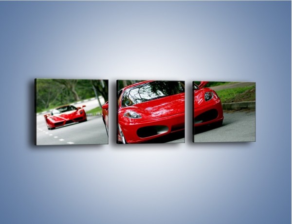 Obraz na płótnie – Ferrari F430 i Ferrari Enzo – trzyczęściowy TM090W1