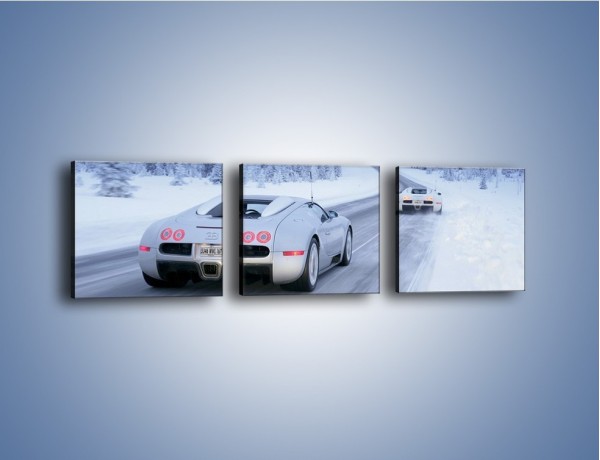 Obraz na płótnie – Bugatti Veyron w śniegu – trzyczęściowy TM134W1