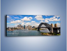 Obraz na płótnie – Panorama Sydney w pochmurny dzień – jednoczęściowy panoramiczny AM784