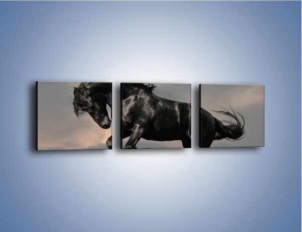Obraz na płótnie – Niespokojny dziki koń – trzyczęściowy Z001W1