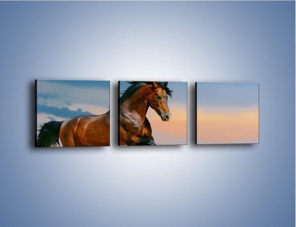 Obraz na płótnie – Brązowy koń na pustyni – trzyczęściowy Z011W1