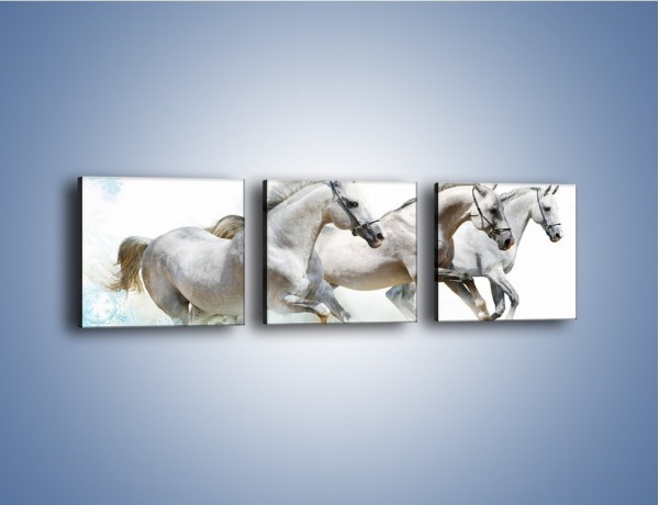 Obraz na płótnie – Końskie trio w zimowym pędzie – trzyczęściowy Z063W1