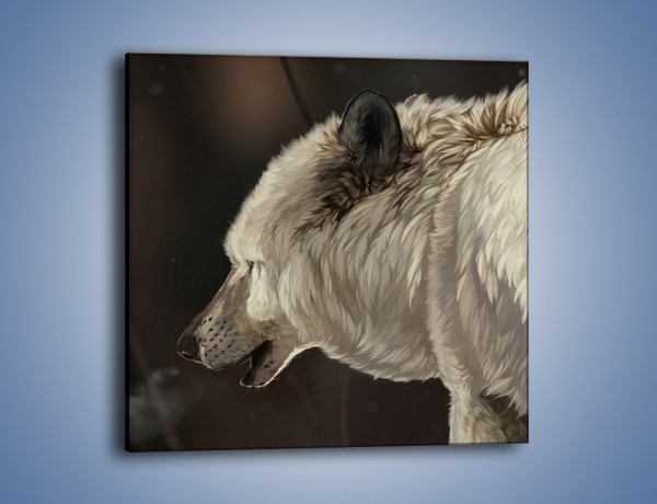 Obraz na płótnie – Uważne spojrzenie wilka – jednoczęściowy kwadratowy GR212