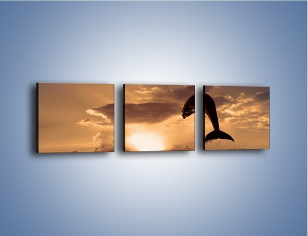 Obraz na płótnie – Z delfinem w stronę zachodzącego słońca – trzyczęściowy Z170W1