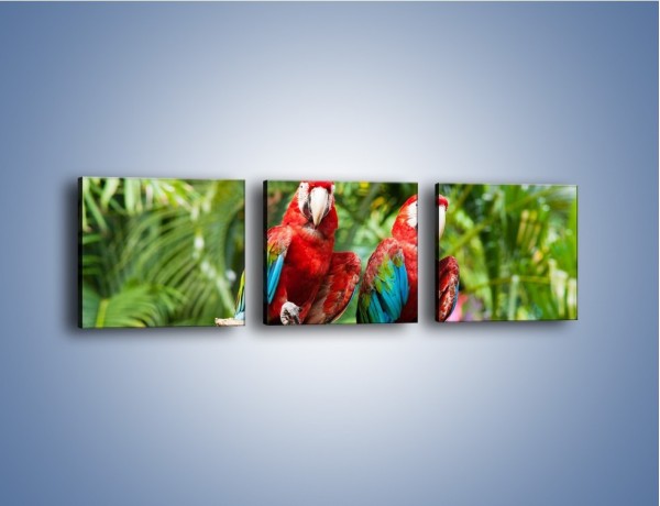 Obraz na płótnie – Papużki nierozłączki – trzyczęściowy Z188W1