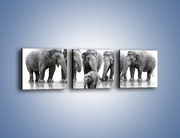 Obraz na płótnie – Na przyjęciu u słoniątka – trzyczęściowy Z209W1
