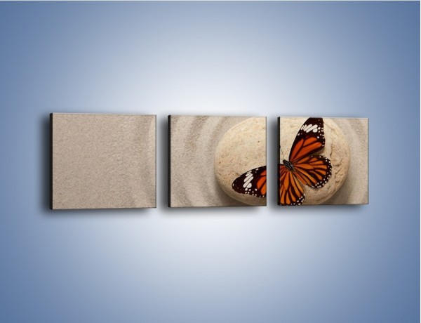 Obraz na płótnie – Spoczynek motyla na kamieniu – trzyczęściowy Z224W1