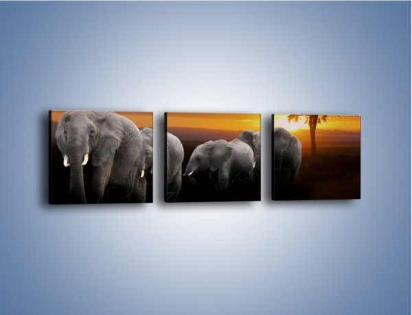 Obraz na płótnie – Powrót słoni do domu – trzyczęściowy Z229W1