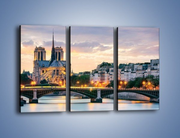 Obraz na płótnie – Katedra Notre Dame – trzyczęściowy AM454W2