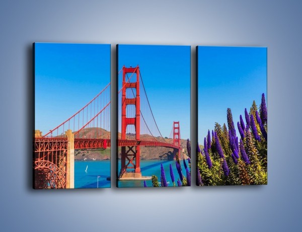 Obraz na płótnie – Golden Gate pod błękitnym niebem – trzyczęściowy AM644W2