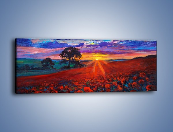 Obraz na płótnie – Zachód słońca nad makowymi głowami – jednoczęściowy panoramiczny GR066