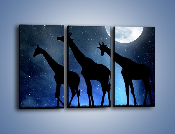 Obraz na płótnie – Żyrafie trio nocą – trzyczęściowy GR316W2