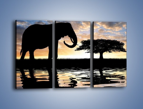 Obraz na płótnie – Samotność wśród słoni – trzyczęściowy GR317W2
